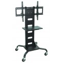 Mobile Flat Panel Stand