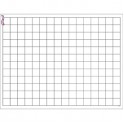Graphing Grid Small Squares Wipe