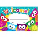 Welcome Owl Stars Recognition