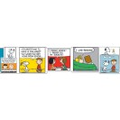 Peanuts Comic Blocks Extra Wide
