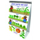 FLIP CHARTS ALL ABOUT PLANTS EARLY