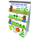 FLIP CHARTS ALL ABOUT PLANTS EARLY