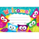 Welcome Owl Stars Recognition
