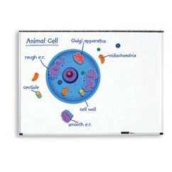 Magnetic Animal Cells