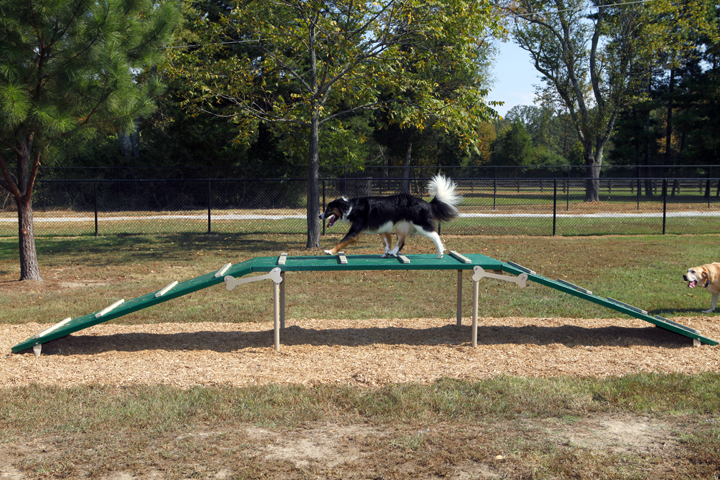 dog obstacles