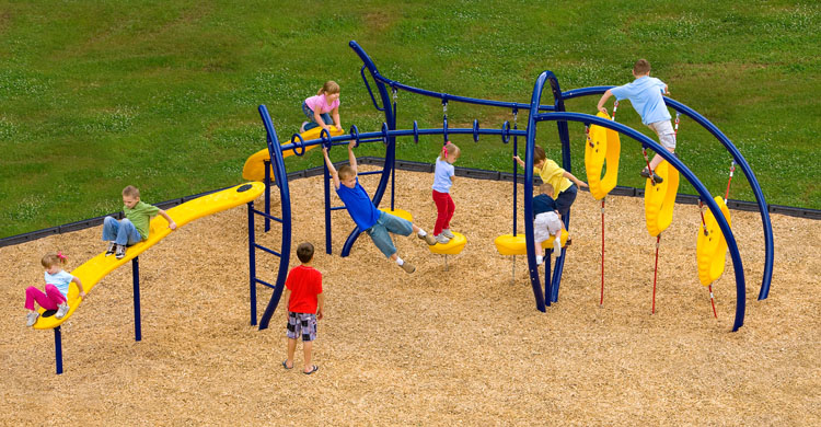 Spider Monkey Play Equipment