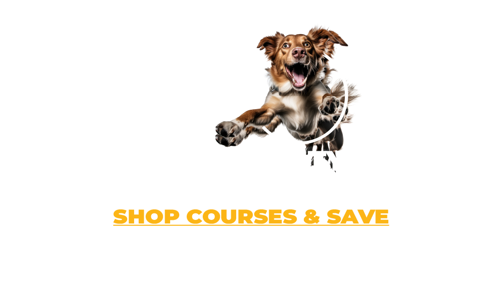 Dog Park - Agility Courses