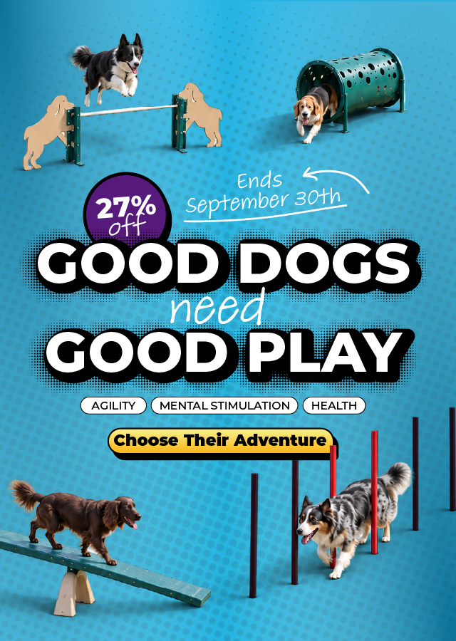 Good Dogs Need Good Play