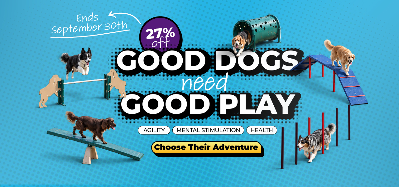 Good Dogs Need Good Play
