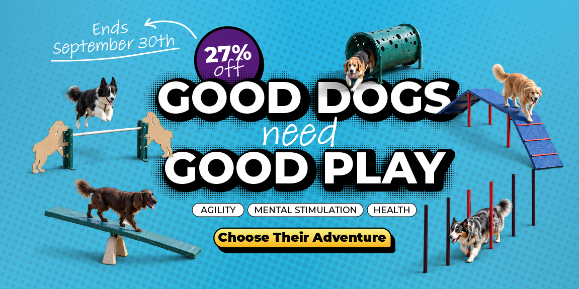 Good Dogs Need Good Play
